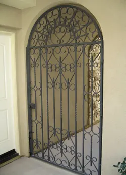 Wrought Iron Exterior Door