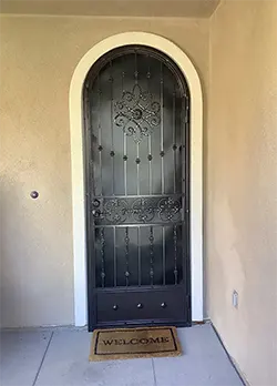 Secuirty Screen Door with Bronze Frame in Aliso Viejo CA